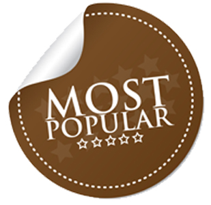 Gearmotor Selection in 4 Simple Steps